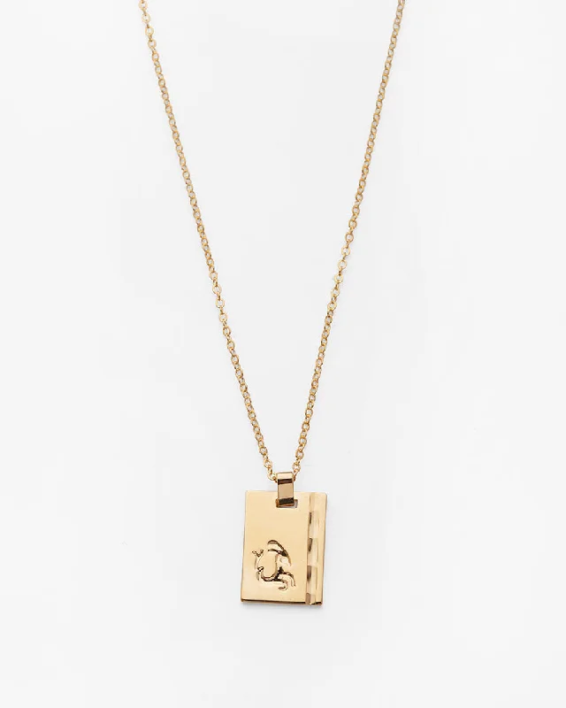 Gold Star Sign Necklace Capricorn