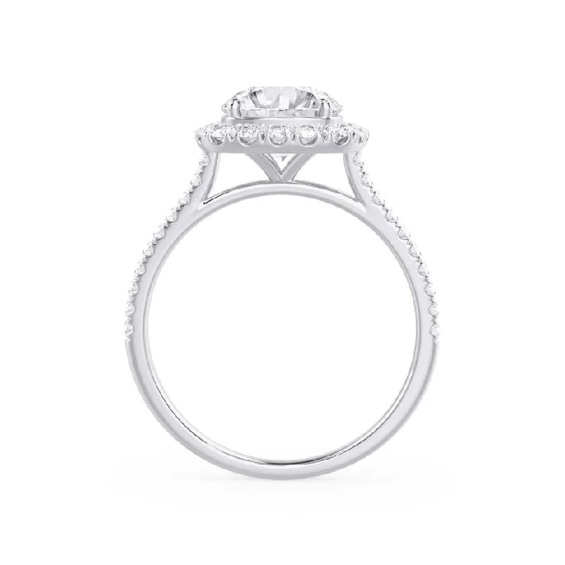 DARLEY - Elongated Cushion Lab Diamond Platinum Halo