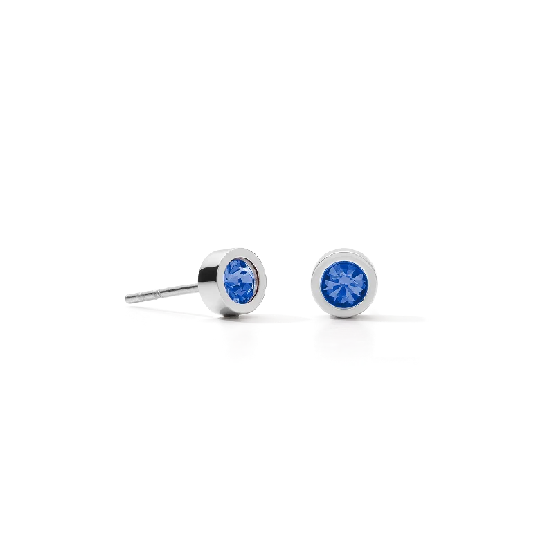 Earrings Sparkling Dot silver blue